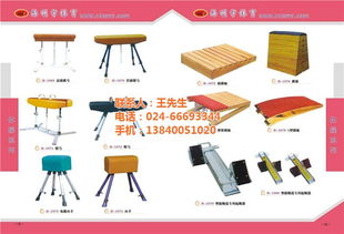 運(yùn)動器材廠 豐和信息技術(shù)中心 在線咨詢 沈陽運(yùn)動器材